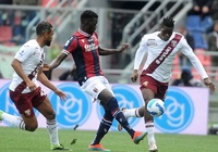 Nhận định, soi kèo Bologna vs Torino: Tìm lại cảm giác chiến thắng