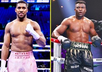 Tiết lộ Francis Ngannou kiếm bộn tiền từ màn so găng với Anthony Joshua