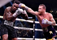 Canelo Alvarez lên kèo cực "khủng" gần trận thống nhất đai Fury - Usyk