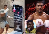 Francis Ngannou tung video cú đấm mạnh nhất thế giới "dọa" Anthony Joshua