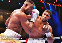 "Nụ hôn tử thần" ở trận Anthony Joshua - Francis Ngannou thu hút cả triệu người xem