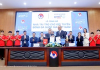 Đang tìm kiếm HLV trưởng tuyển Việt Nam, VFF nhận tin vui