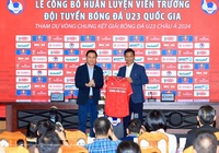 VFF đặt mục tiêu gì, lương bao nhiêu cho HLV Hoàng Anh Tuấn?