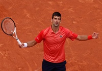 Novak Djokovic rút lui khỏi Madrid Master 2024.