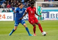 Nhận định, soi kèo Hoffenheim vs Bayern Munich: Hùm xám sảy chân