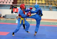 Những nét mới nổi bật từ giải Vô địch Vovinam miền Bắc năm 2024