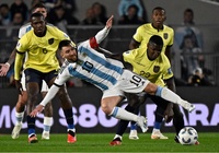 Dự đoán Argentina vs Ecuador, 6h00 ngày 10/6, Giao hữu quốc tế