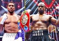 Trận boxing nội chiến kinh điển Anthony Joshua vs Daniel Dubois sẽ có đai danh giá