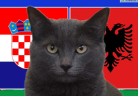 Mèo tiên tri dự đoán Croatia vs Albania, 20h ngày 19/6, Euro 2024