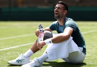 Bốc thăm Wimbledon 2024: Sinner vào nhánh đấu khó, Djokovic dễ thở