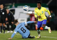 Tỷ lệ bóng đá trận Uruguay vs Brazil, 8h ngày 7/7, Copa America 2024