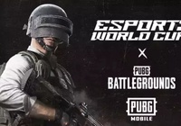 Lịch thi đấu PUBG Esports World Cup 2024