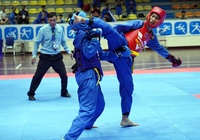 Gần 700 VĐV tranh tài hấp dẫn ở giải Vovinam Hà Nội mở rộng lần thứ III 