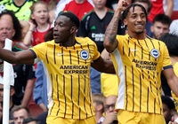 Dự đoán Brighton vs Ipswich, 21h00 ngày 14/9, Ngoại hạng Anh 2024/25