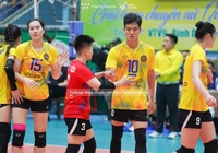 Link trực tiếp giải bóng chuyền AVC Club 2024: LP Bank Ninh Bình vs NEC Red Rockets