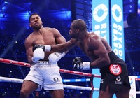 Anthony Joshua thất bại đau đớn, bị Daniel Dubois đấm gục tới 4 lần