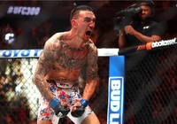 Max Holloway khuyên Ilia Topuria nên "tập não" sau phát ngôn tự mãn