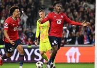 Dự đoán Atletico Madrid vs Lille, 2h00 ngày 24/10, Champions League 2024/25