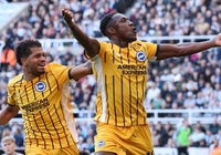 Dự đoán Brighton vs Wolves, 21h00 ngày 26/10, Ngoại hạng Anh 2024/25