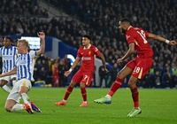 Dự đoán Liverpool vs Brighton, 22h00 ngày 2/11, Ngoại hạng Anh 2024/25