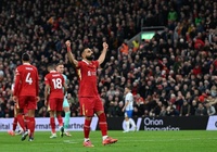 Tỷ lệ bóng đá trận Liverpool vs Leverkusen, 3h00 ngày 6/11, Cúp C1 châu Âu