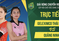 Link trực tiếp giải bóng chuyền VĐQG ngày 11/11: Geleximco Thái Bình vs Quảng Ninh