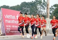 Dàn sao điền kinh Việt Nam "hâm nóng" giải Viettel Marathon Việt Nam 2024