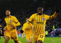 Dự đoán Brighton vs Crystal Palace, 21h00 ngày 15/12, Ngoại hạng Anh 2024/25