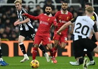 Dự đoán Liverpool vs Newcastle, 3h15 ngày 27/2, Ngoại hạng Anh 2024/25