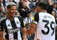 Dự đoán Brighton vs Newcastle, 20h00 ngày 4/5, Ngoại hạng Anh 2024/25
