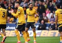 Dự đoán Wolves vs Brighton, 21h00 ngày 10/5, Ngoại hạng Anh 2024/25