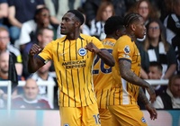 Dự đoán Brighton vs Liverpool, 2h00 ngày 20/5, Ngoại hạng Anh 2024/25