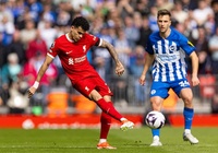Tỷ lệ bóng đá trận Brighton vs Liverpool, 2h00 ngày 20/5, Ngoại hạng Anh