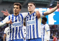 Dự đoán Tottenham vs Brighton, 22h00 ngày 25/5, Ngoại hạng Anh 2024/25