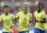 Dự đoán Ecuador vs Brazil, 6h00 ngày 6/6, vòng loại World Cup 2026