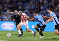 Dự đoán Paraguay vs Uruguay, 6h00 ngày 6/6, vòng loại World Cup 2026