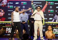 Jake Paul "nướng" hết số tiền thắng trận gặp Mike Tyson trước màn so găng Julio Cesar Chavez Jr