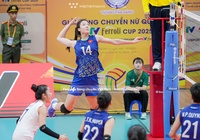 Link trực tiếp giải bóng chuyền VTV Cup hôm nay 30/6