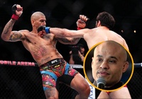 Alex Pereira bị coi thường "vì chỉ là trò sắp đặt của UFC"