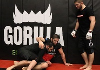 Khabib chỉ ra sai lầm về tư duy chuẩn bị thi đấu của các võ sĩ UFC