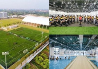 Hành trình 12 năm nhìn lại của PVF: Khát vọng World Cup của bóng đá Việt Nam
