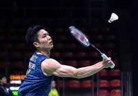 Kết quả cầu lông Thái Lan mở rộng: Dàn sao như Chou Tien-chen rơi rụng