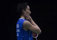 Cựu số 1 thế giới cầu lông Kento Momota bị chấn thương nên phải nghỉ thi đấu tại Asian Games