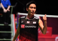 Trực tiếp bán kết cầu lông Korea Masters ngày 11/11: Đón xem cựu số 1 thế giới Kento Momota vào chung kết