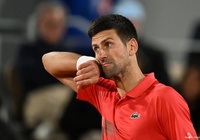 Sự cố khó tin ở giải tennis Paris Masters 2023: Đối thủ và khán giả chờ cặp Djokovic / Kecmanovic mãi không đến