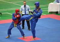 450 võ sĩ tranh tài Giải vô địch Vovinam toàn quốc 2024