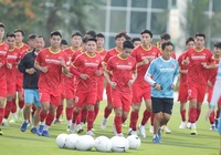 ĐT Việt Nam điều chỉnh kế hoạch, U23 đi nước ngoài tập huấn