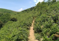 Giải chạy 160km đầu tiên ở Việt Nam siết chặt điều kiện tham dự sau “thảm họa chạy 100km Trung Quốc”