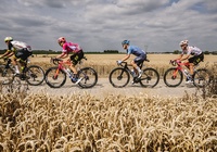 Nhà vô địch giải đua xe đạp Tour de France 2022 bỏ túi bao nhiêu tiền thưởng?