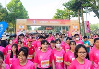 Giải marathon Đất Sen Hồng Đồng Tháp 2024 đặt mục tiêu đón số VĐV đông kỷ lục